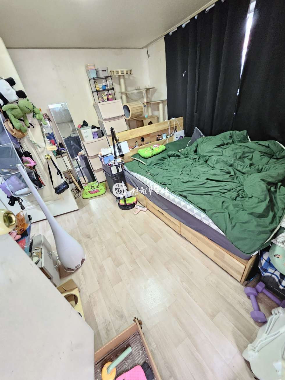 서울 강북구 수유동 SW 역3분투룸여성만 애묘 가능 베란다 주차안됨X 월세 매물번호 11997 사진 1
