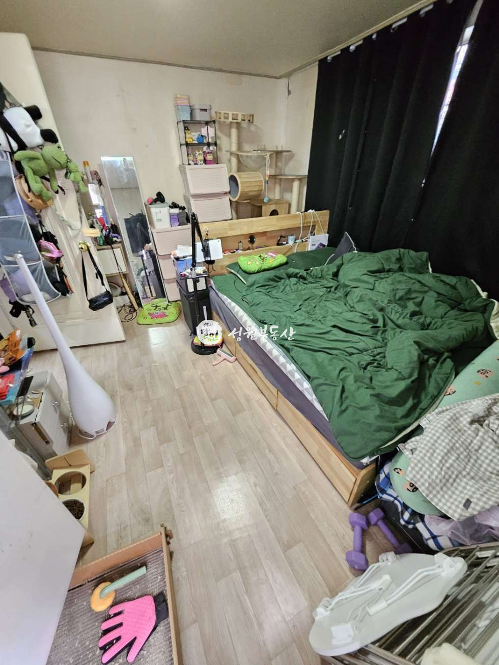 서울 강북구 수유동 SW 역3분투룸여성만 애묘 가능 베란다 주차안됨X 월세 매물번호 11997 사진 7